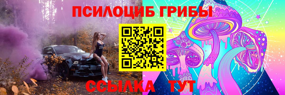 Галлюциногенные грибы мухоморы  Вход с VPN  Новошахтинск 